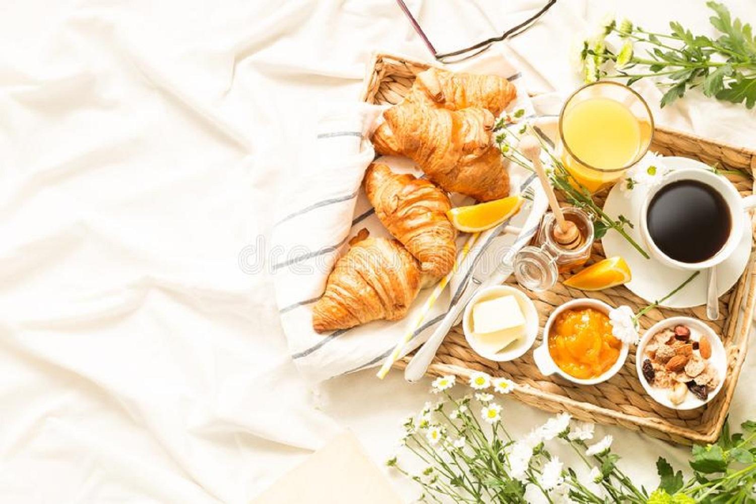 Classic Plaza At Delhi Airport Bed & Breakfast New Delhi